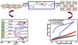 Graphical abstract: Tuned synthesis of two coordination polymers of Cd(ii) using substituted bent 3-pyridyl linker and succinate: structures and their applications in anion exchange and sorption properties