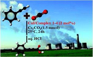 Graphical abstract: 1,1′-Bis(di-tert-butylphosphino)ferrocene copper(i) complex catalyzed C–H activation and carboxylation of terminal alkynes
