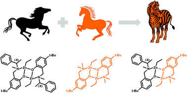 Graphical abstract: Zebra reaction or the recipe for the synthesis of heterodimeric zinc complexes
