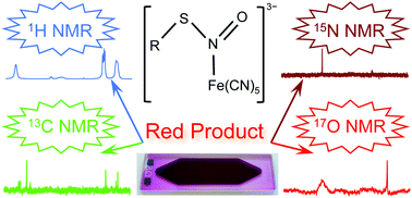 Graphical abstract: Direct NMR detection of the unstable “red product” from the reaction between nitroprusside and 2-mercaptosuccinic acid