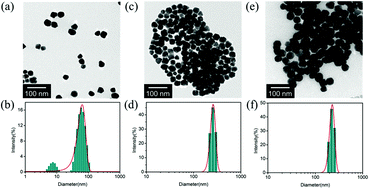 Graphical abstract: Selective colorimetric detection of Cr(iii) and Cr(vi) using gallic acid capped gold nanoparticles