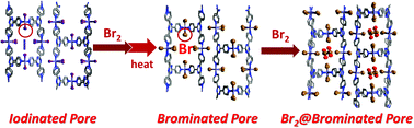 Graphical abstract: Br2 induced oxidative pore modification of a porous coordination network