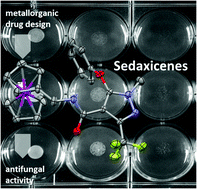 Graphical abstract: Sedaxicenes: potential new antifungal ferrocene-based agents?