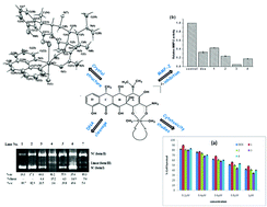 Graphical abstract: Copper(ii) mixed-ligand polypyridyl complexes with doxycycline – structures and biological evaluation