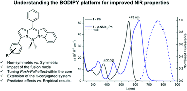Graphical abstract: Non-symmetric benzo[b]-fused BODIPYs as a versatile fluorophore platform reaching the NIR: a systematic study of the underlying structure–property relationship