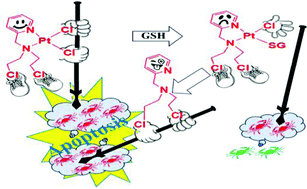 Graphical abstract: Anticancer activity of a cis-dichloridoplatinum(ii) complex of a chelating nitrogen mustard: insight into unusual guanine binding mode and low deactivation by glutathione