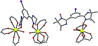 Graphical abstract: First coordination compounds based on a bis(imino nitroxide) biradical and 4f metal ions: synthesis, crystal structures and magnetic properties