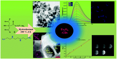 Graphical abstract: One-pot synthesis of polyamines improved magnetism and fluorescence Fe3O4–carbon dots hybrid NPs for dual modal imaging