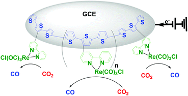 Graphical abstract: Electrocatalytic reduction of CO2 by thiophene-substituted rhenium(i) complexes and by their polymerized films