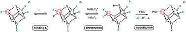 Graphical abstract: Binding small molecules and ions to [Fe4S4Cl4]2− modulates rate of protonation of the cluster