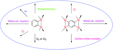 Graphical abstract: The chemistry of benzodisilacyclobutenes and benzobis(disilacyclobutene)s: new development of transition-metal-catalyzed reactions, stereochemistry and theoretical studies