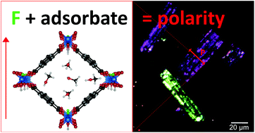 Graphical abstract: Second harmonic generation microscopy reveals hidden polar organization in fluoride doped MIL-53(Fe)
