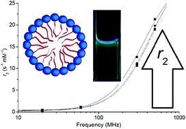 Graphical abstract: Magnetofluorescent micelles incorporating DyIII–DOTA as potential bimodal agents for optical and high field magnetic resonance imaging