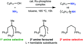 Graphical abstract: Triphos derivatives and diphosphines as ligands in the ruthenium-catalysed alcohol amination with NH3