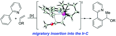 Graphical abstract: Mechanism of iridium-catalysed branched-selective hydroarylation of vinyl ethers: a computational study