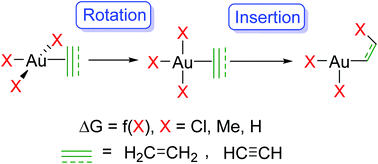 Graphical abstract: Coordination and insertion of alkenes and alkynes in AuIII complexes: nature of the intermediates from a computational perspective