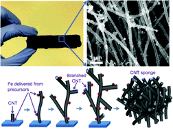 Graphical abstract: Scalable synthesis of bi-functional high-performance carbon nanotube sponge catalysts and electrodes with optimum C–N–Fe coordination for oxygen reduction reaction