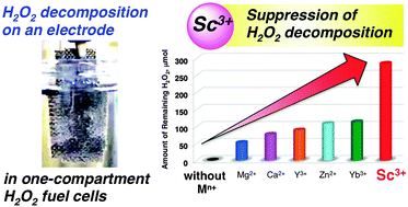 Graphical abstract: High and robust performance of H2O2 fuel cells in the presence of scandium ion