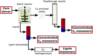 Graphical abstract: Lignin monomer production integrated into the γ-valerolactone sugar platform