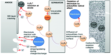 Graphical abstract: Lithium sulfur batteries, a mechanistic review