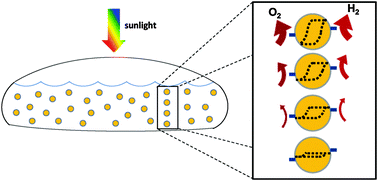 Graphical abstract: Particle suspension reactors and materials for solar-driven water splitting