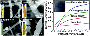 Graphical abstract: Defect-rich decorated TiO2 nanowires for super-efficient photoelectrochemical water splitting driven by visible light