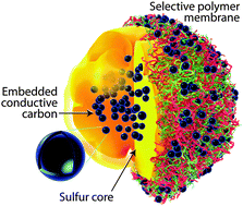 Graphical abstract: A layer-by-layer supramolecular structure for a sulfur cathode