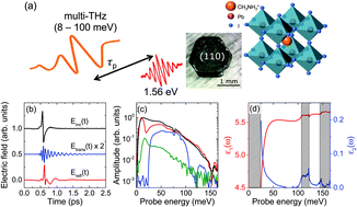 Graphical abstract: Intrinsic femtosecond charge generation dynamics in single crystal CH3NH3PbI3