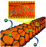 Graphical abstract: Encapsulation of organic active materials in carbon nanotubes for application to high-electrochemical-performance sodium batteries