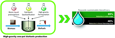 Graphical abstract: Transforming biomass conversion with ionic liquids: process intensification and the development of a high-gravity, one-pot process for the production of cellulosic ethanol