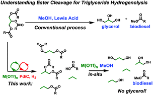 Graphical abstract: Mono- and tri-ester hydrogenolysis using tandem catalysis. Scope and mechanism