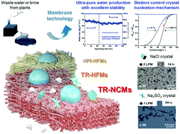 Graphical abstract: Thermally rearranged polymer membranes for desalination