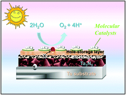 Graphical abstract: Enabling an integrated tantalum nitride photoanode to approach the theoretical photocurrent limit for solar water splitting