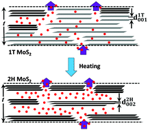 Graphical abstract: High performance MoS2 membranes: effects of thermally driven phase transition on CO2 separation efficiency