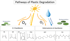 Graphical abstract: Pathways for degradation of plastic polymers floating in the marine environment