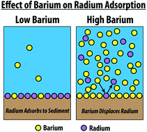 Graphical abstract: Partitioning of naturally-occurring radionuclides (NORM) in Marcellus Shale produced fluids influenced by chemical matrix