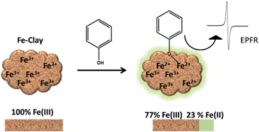 Graphical abstract: Formation of environmentally persistent free radical (EPFR) in iron(iii) cation-exchanged smectite clay