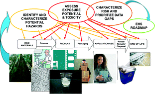 Graphical abstract: Cellulose nanomaterials: life cycle risk assessment, and environmental health and safety roadmap