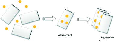 Graphical abstract: Heteroaggregation of bare silver nanoparticles with clay minerals
