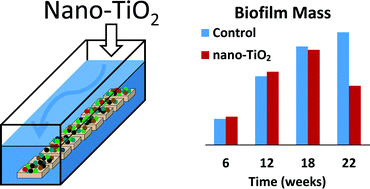 Graphical abstract: Chronic addition of a common engineered nanomaterial alters biomass, activity and composition of stream biofilm communities