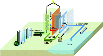 Graphical abstract: Optimizing the performance of a membrane bio-electrochemical reactor using an anion exchange membrane for wastewater treatment