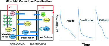 Graphical abstract: Membrane configuration influences microbial capacitive desalination performance