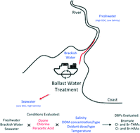 Graphical abstract: Formation of disinfection by-products during ballast water treatment with ozone, chlorine, and peracetic acid: influence of water quality parameters