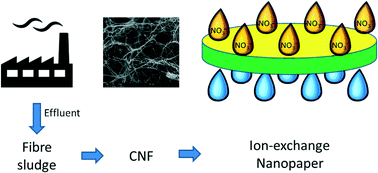 Graphical abstract: Nitrate removal from water using a nanopaper ion-exchanger
