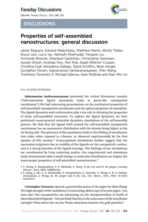 Properties of self-assembled nanostructures: general discussion