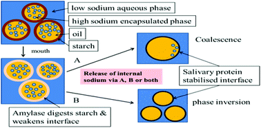 Graphical abstract: Programmed emulsions for sodium reduction in emulsion based foods