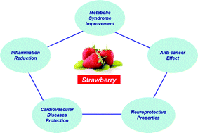 Graphical abstract: Strawberry as a health promoter: an evidence based review