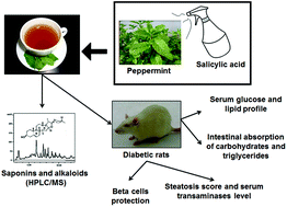 Graphical abstract: Salicylic acid elicitation during cultivation of the peppermint plant improves anti-diabetic effects of its infusions