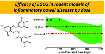 Graphical abstract: A review of the efficacy of dietary polyphenols in experimental models of inflammatory bowel diseases