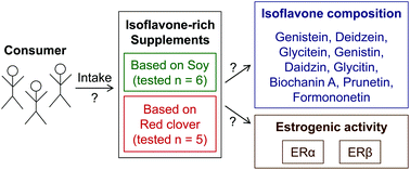 Graphical abstract: Determination of the isoflavone composition and estrogenic activity of commercial dietary supplements based on soy or red clover